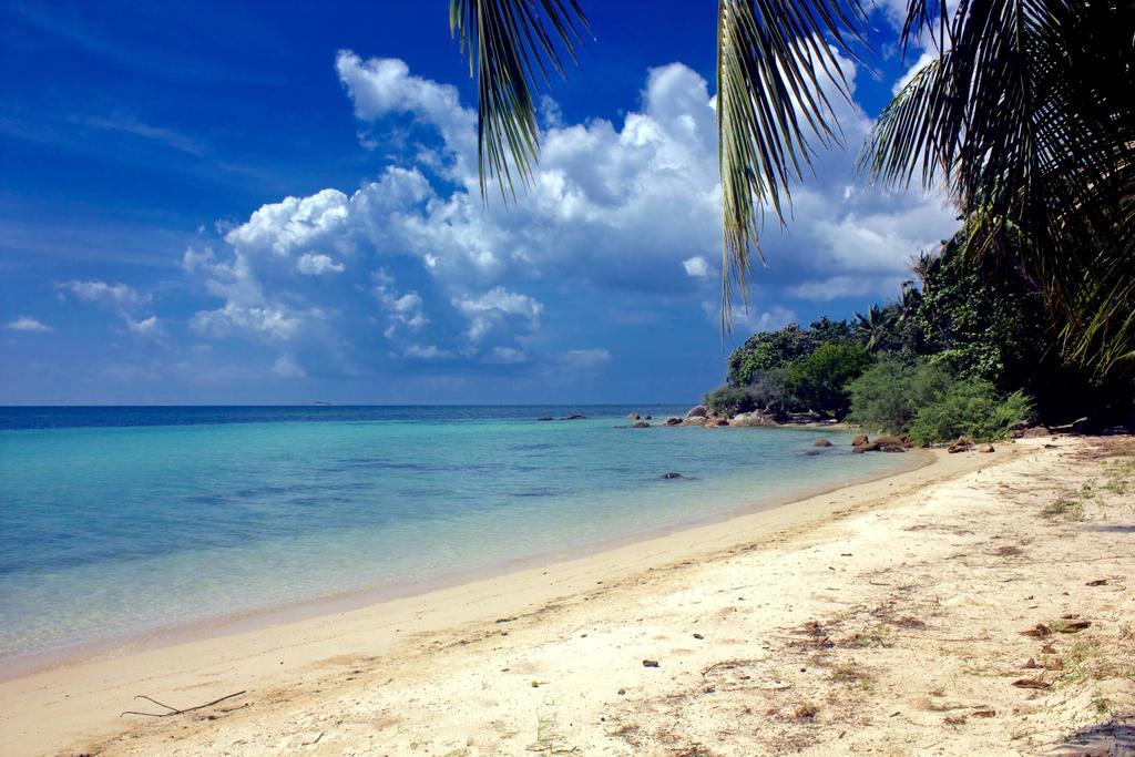 The Green Palm Ko Pha Ngan Pokoj fotografie